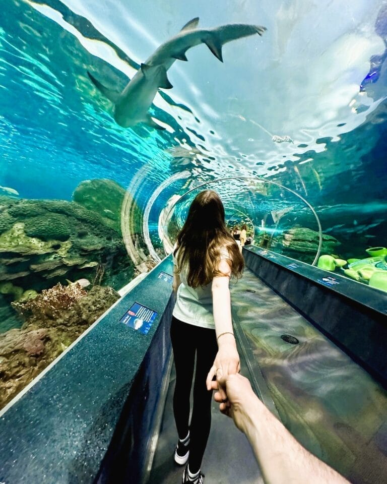 Best Places to Celebrate Valentine’s Day 2025 in Toronto