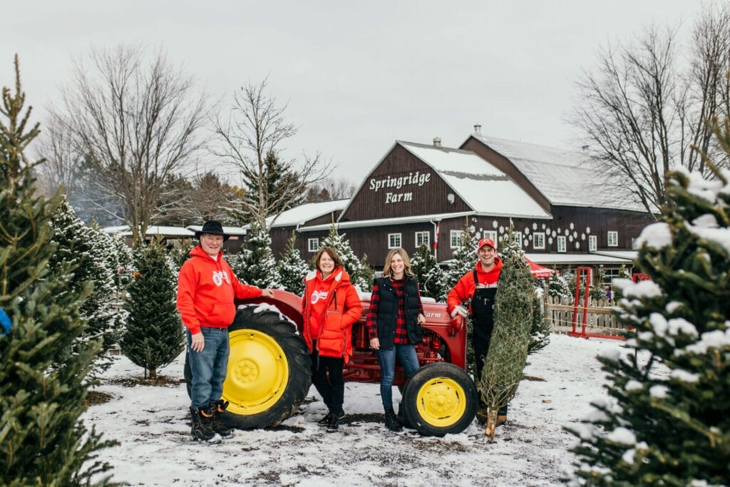Springridge Farm