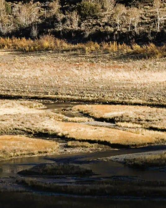 La Niña Has Arrived: What This Means for the U.S. in 2025