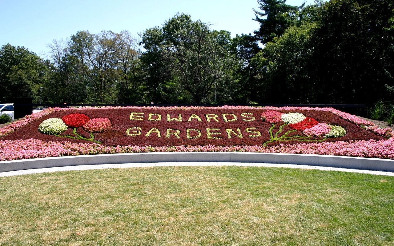 Edwards Gardens | Fall 2025
