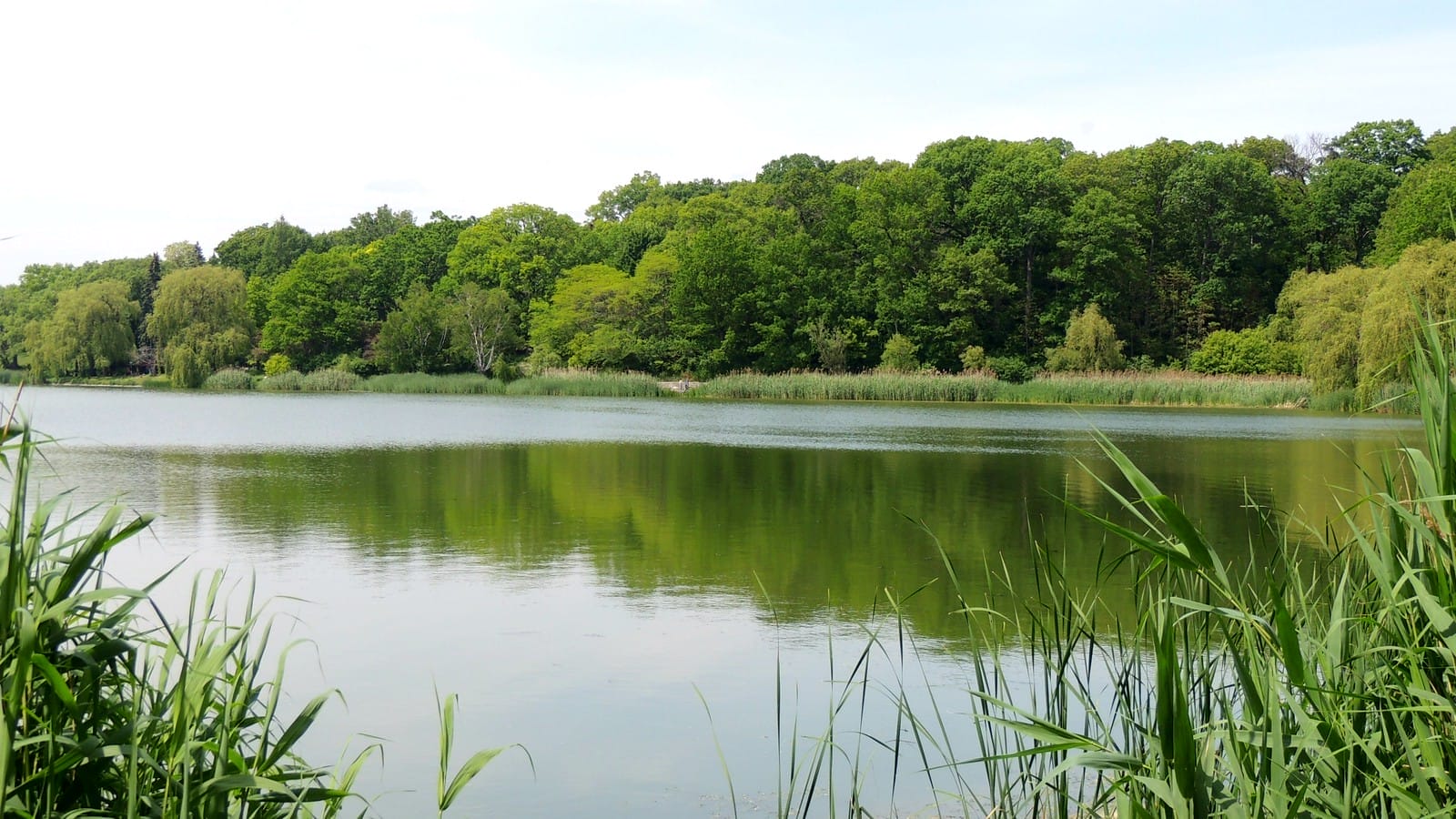 Grenadier Pond