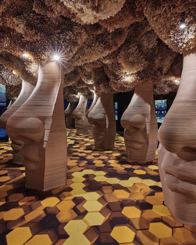 15+ Best Things to Do at the Well