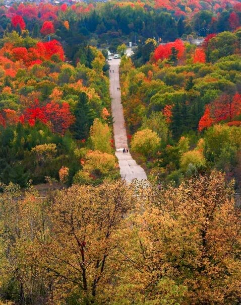 Must-Visit Parks: Rouge National Urban Park