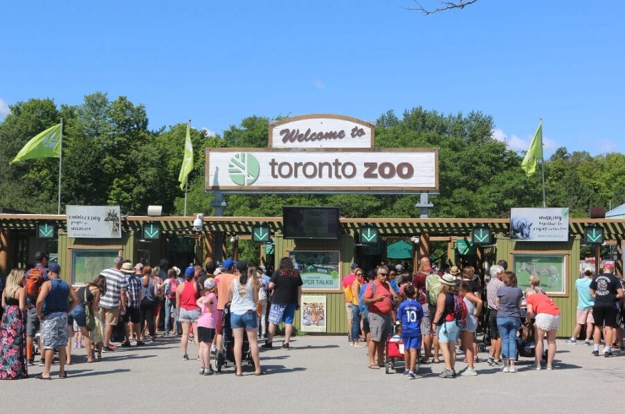 Family-friendly activities: Visiting Toronto zoo
