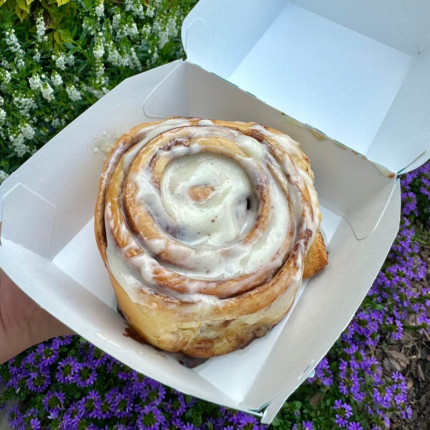 Birthday Freebies in Toronto