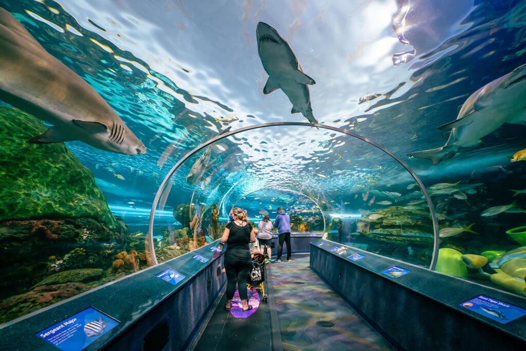 Indoor Activities During Winter