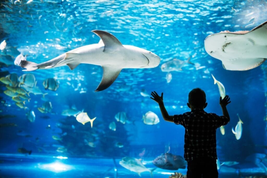 Ripley's Aquarium | Toronto | Winter 2025