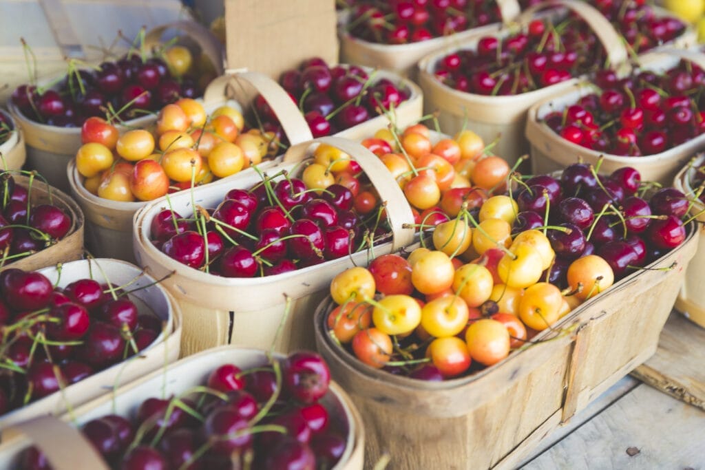 St. Jacob's Farmers Market | Summer 2025