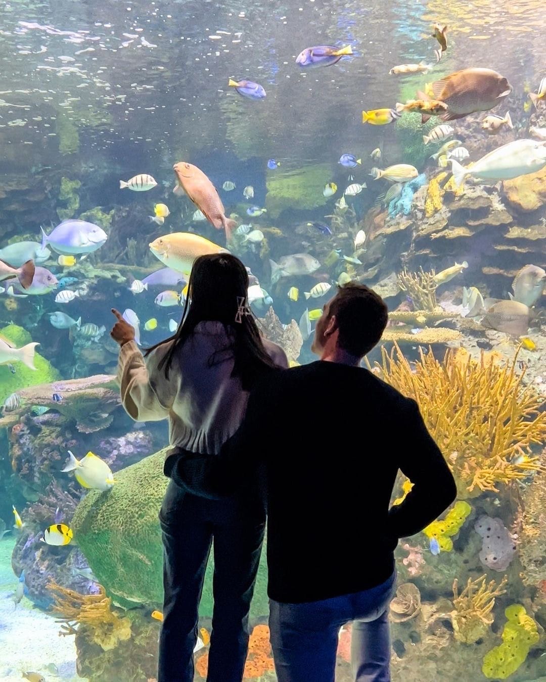 Jazz Night: Valentine’s Day Edition at Ripley’s Aquarium
