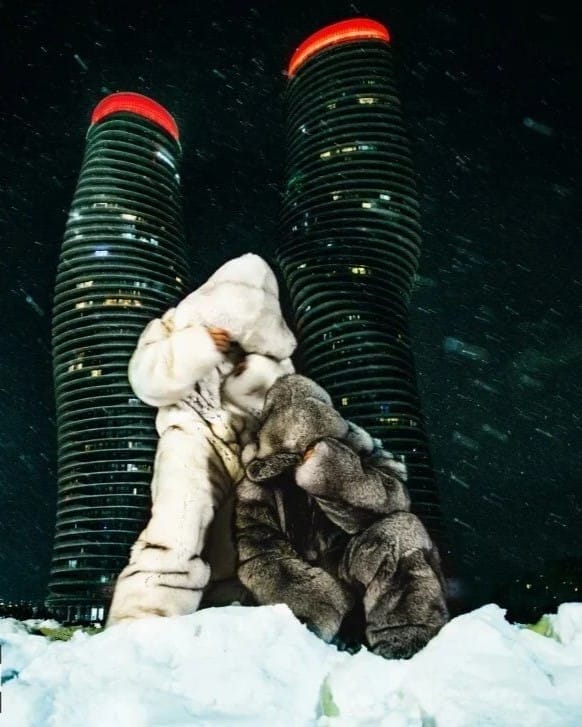 Drake and PARTYNEXTDOOR's Album Cover