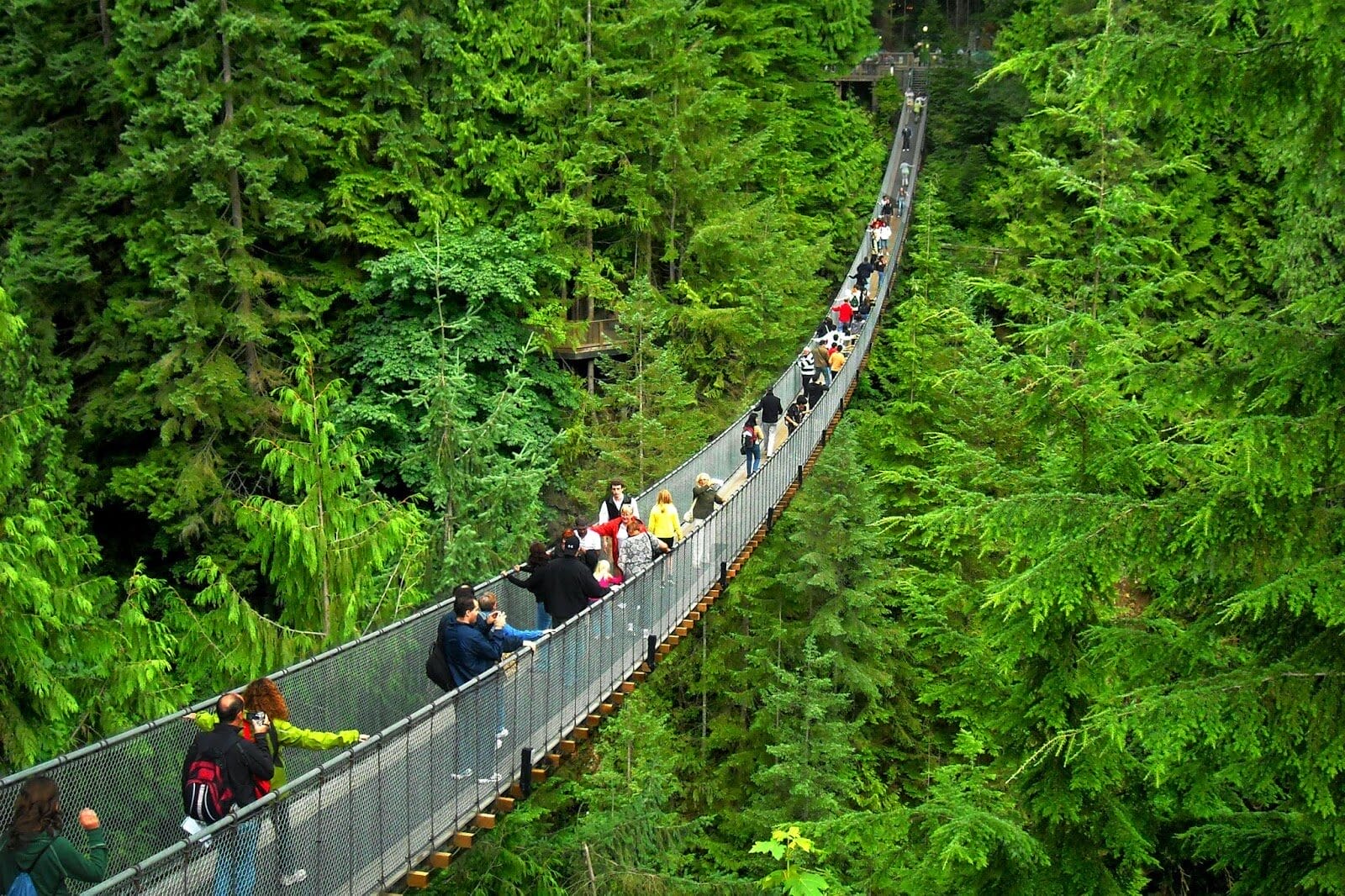 Capilano Suspension Bridge