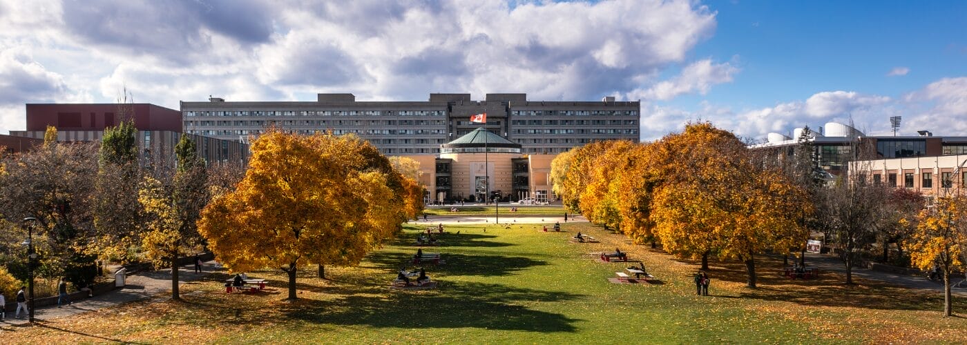 York University