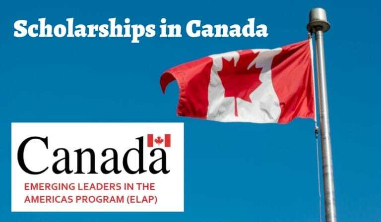 Emerging Leaders in the Americas Program