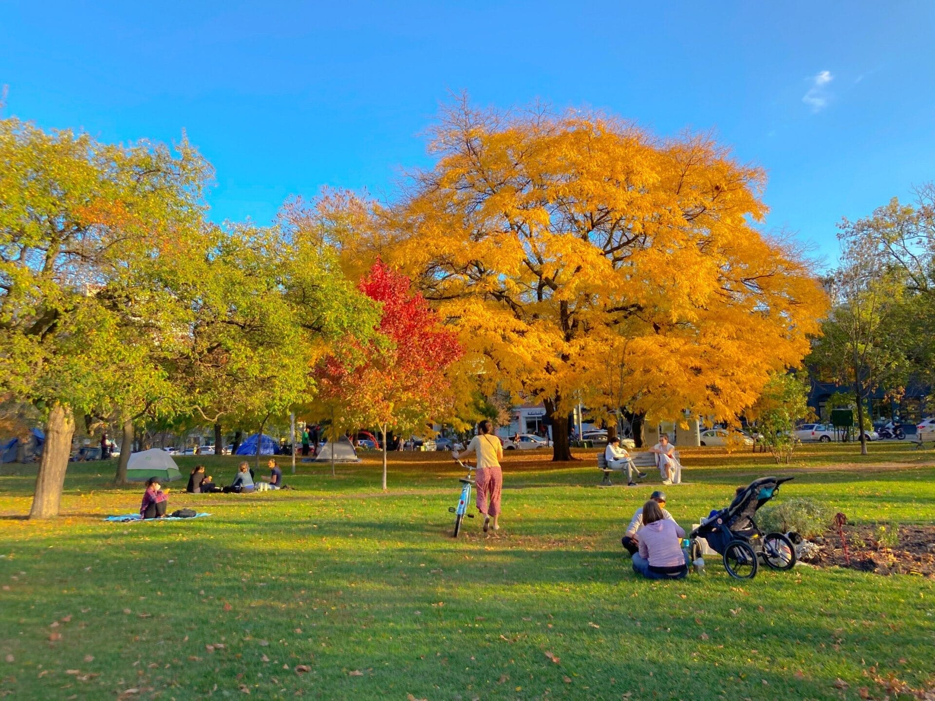 How to Plan the Perfect Easter Picnic in Toronto