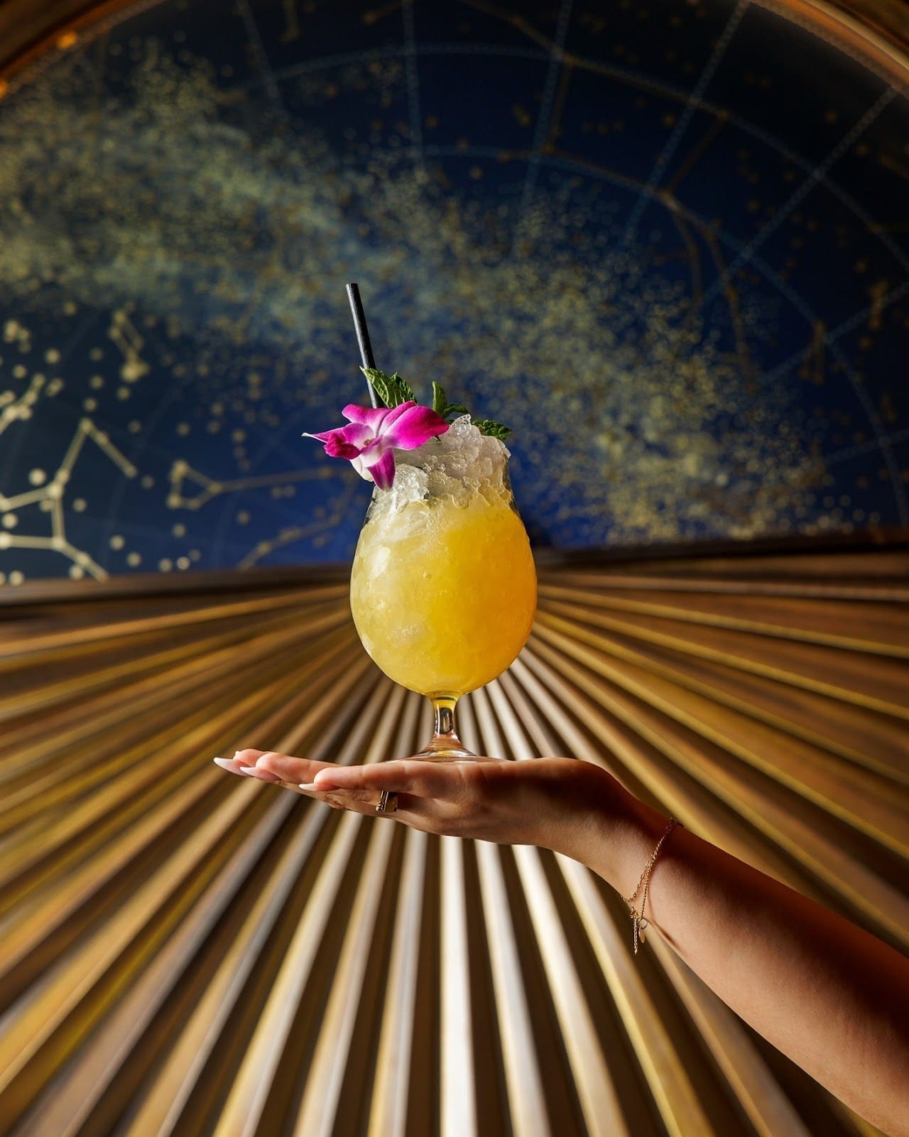 Best Toronto Cocktails