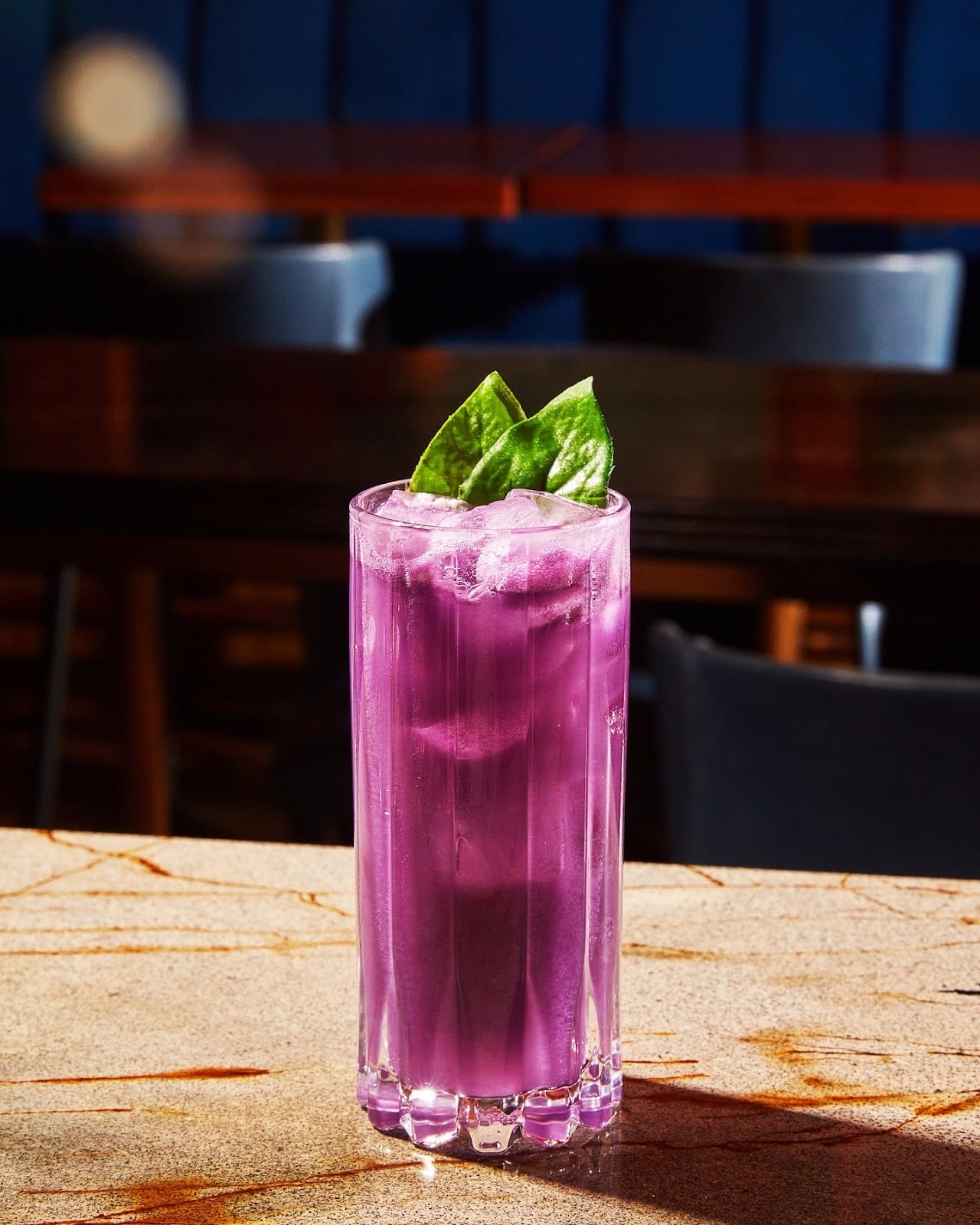 Best Toronto Cocktails