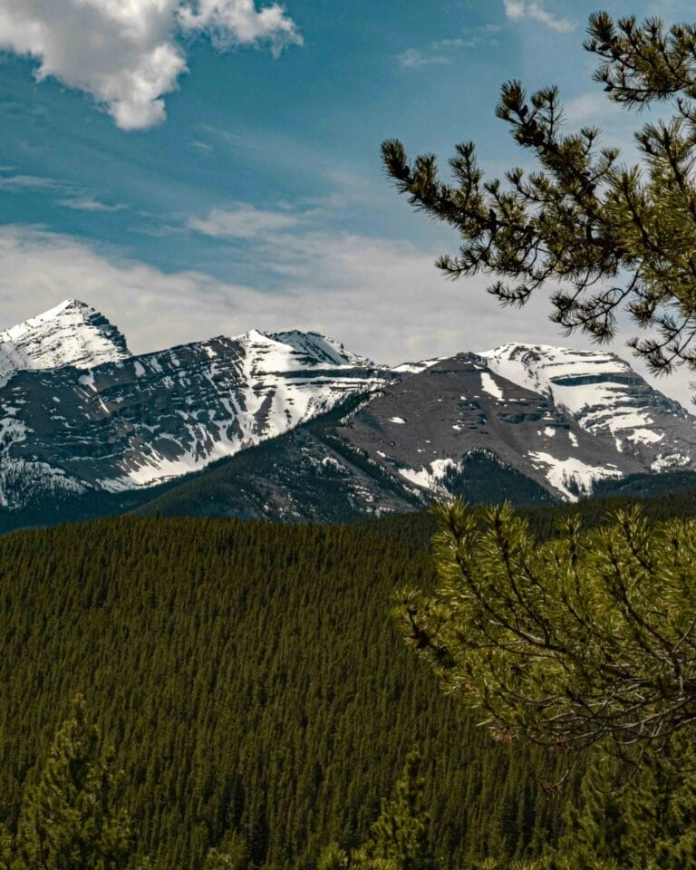 March Equinox 2025 in Canada: Date, Effects & Seasonal Changes