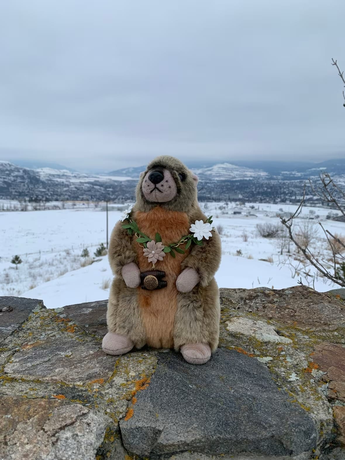 Groundhog Day