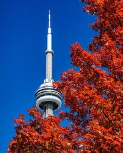 Fall Foliage