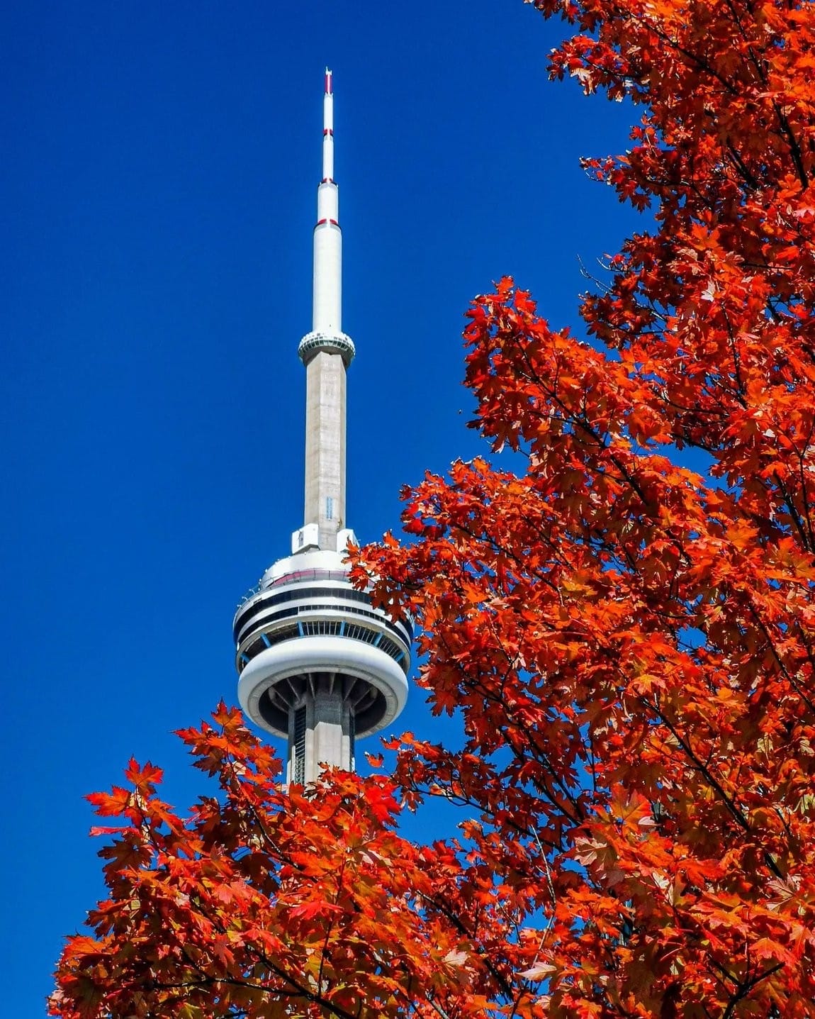 Fall Foliage