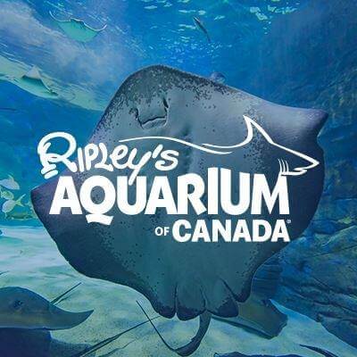 Ripley’s Aquarium of Canada