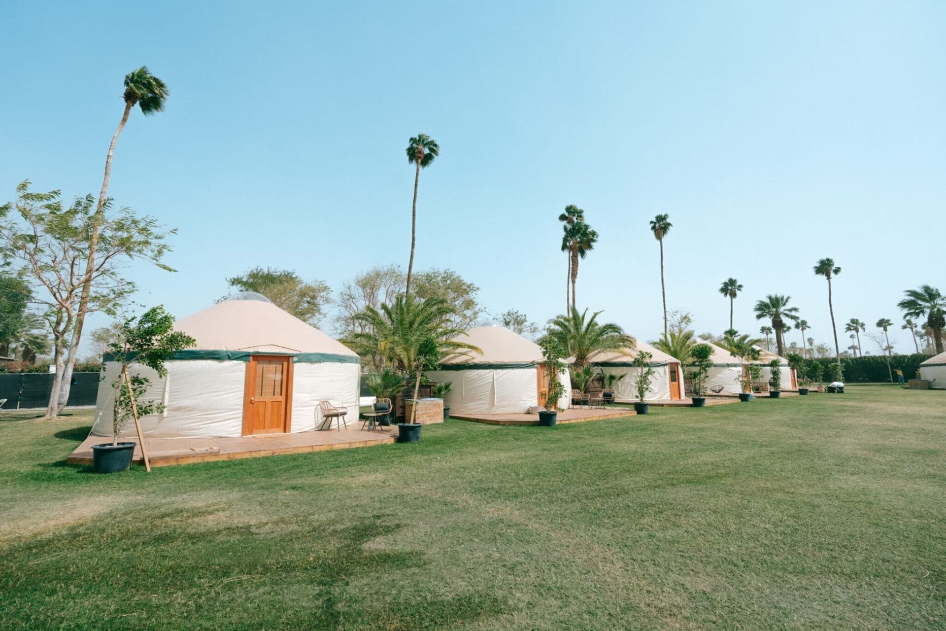 Coachella 2025 | Safari Campgrounds | Valley Music Travel