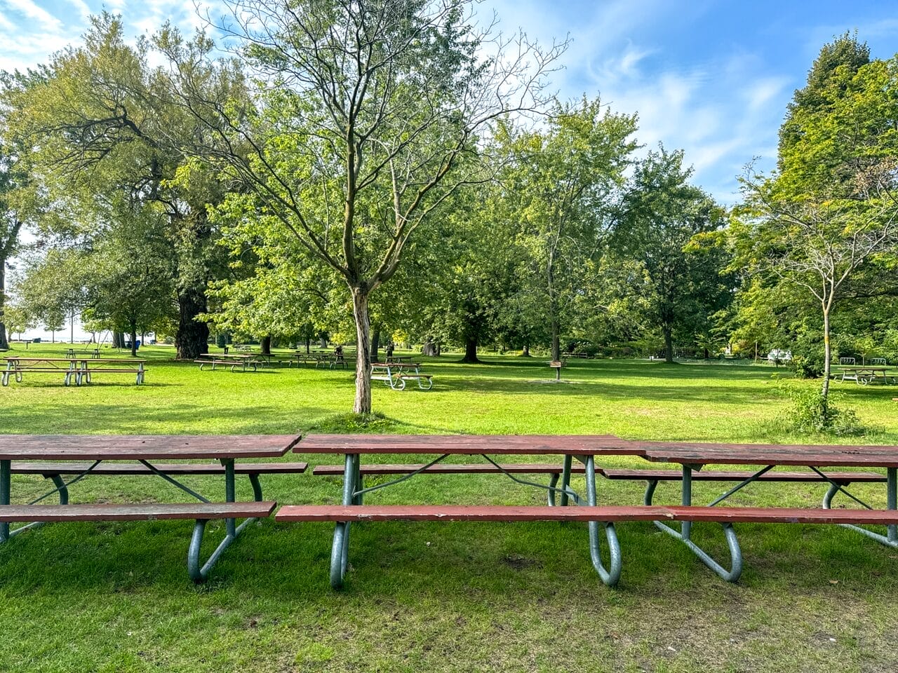 How to Plan the Perfect Easter Picnic in Toronto