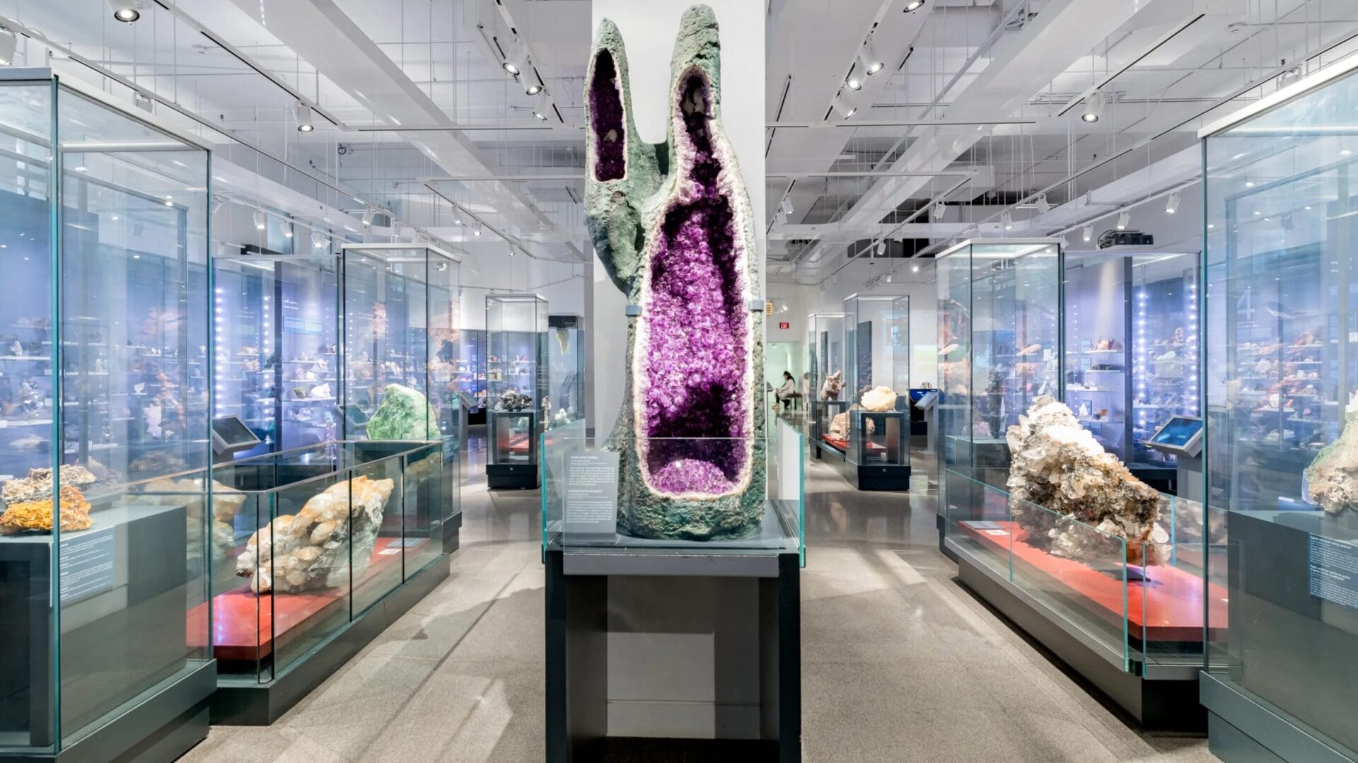 Best of Toronto in one weekend: Royal Ontario Museum (ROM)