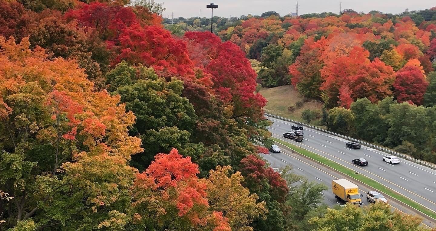 Don Valley
