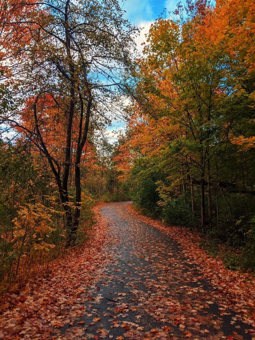Humber Recreational Trail