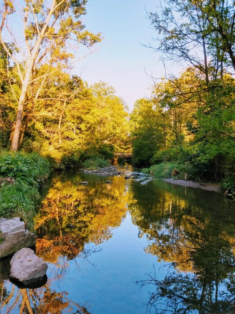 Taylor Creek Trail