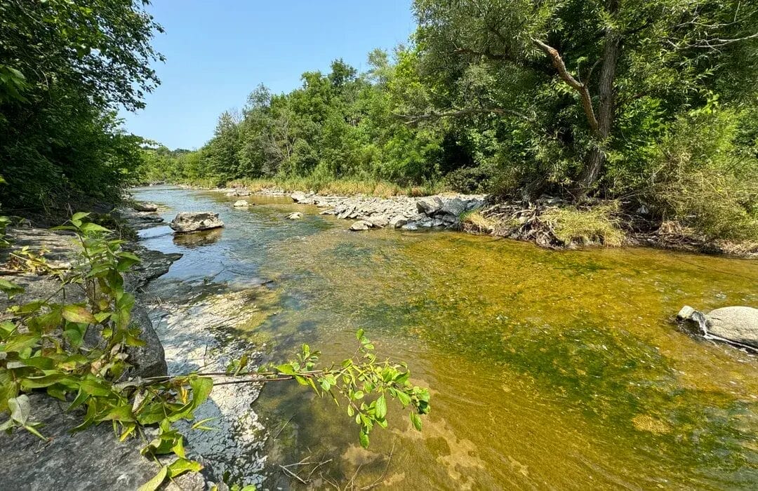 West Humber Trail