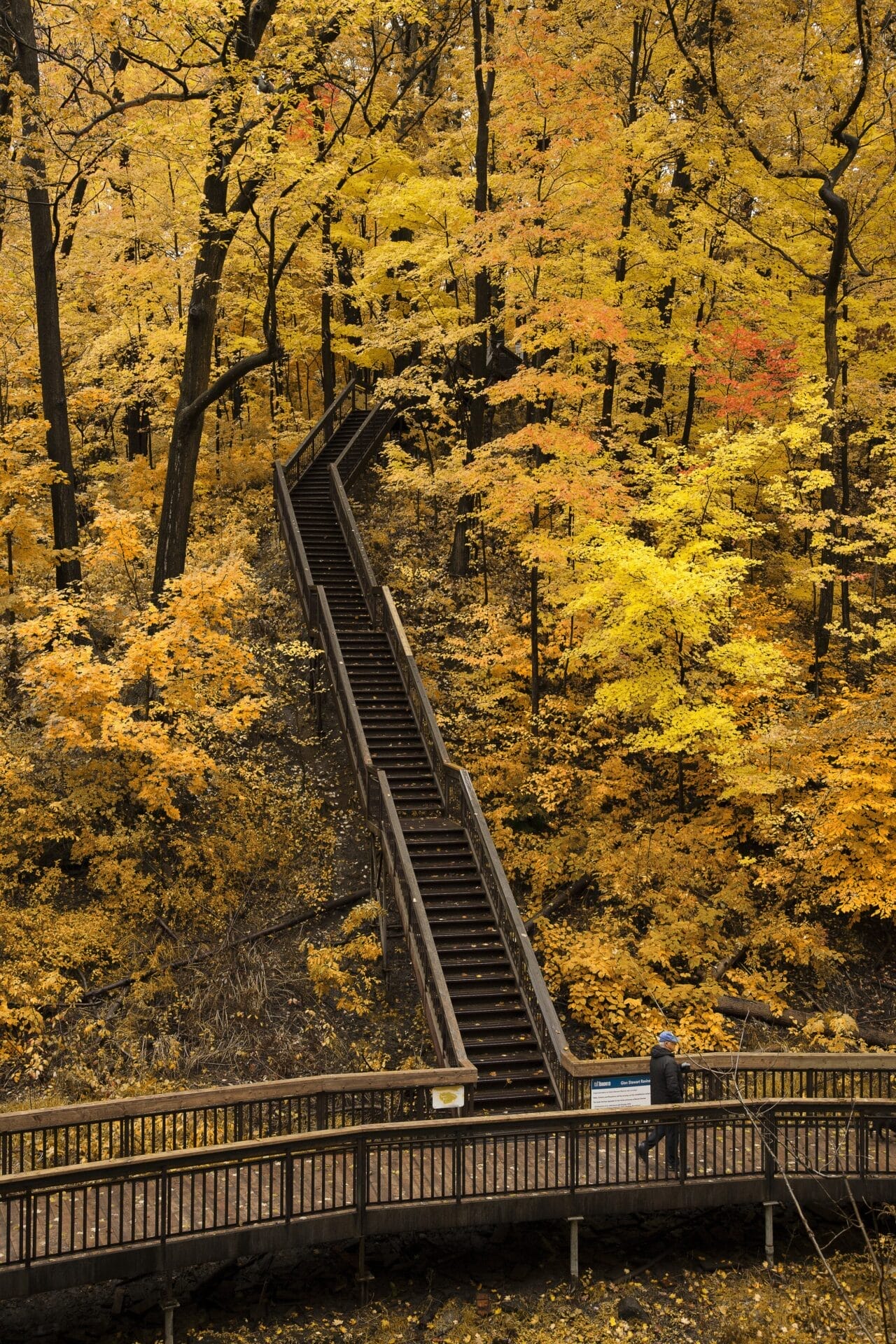 Glen Stewart Ravine | Best Trails