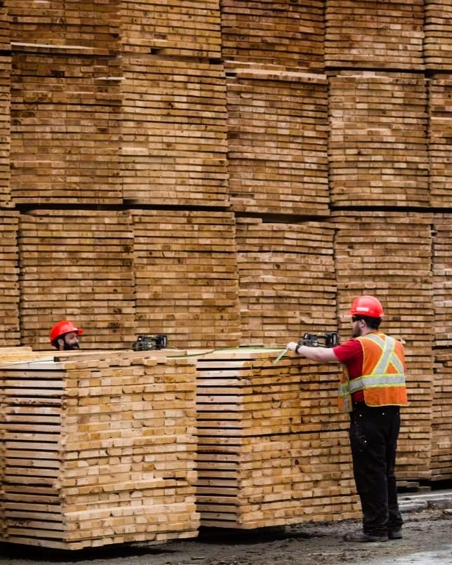 Trump Orders Investigation into U.S. Lumber Imports