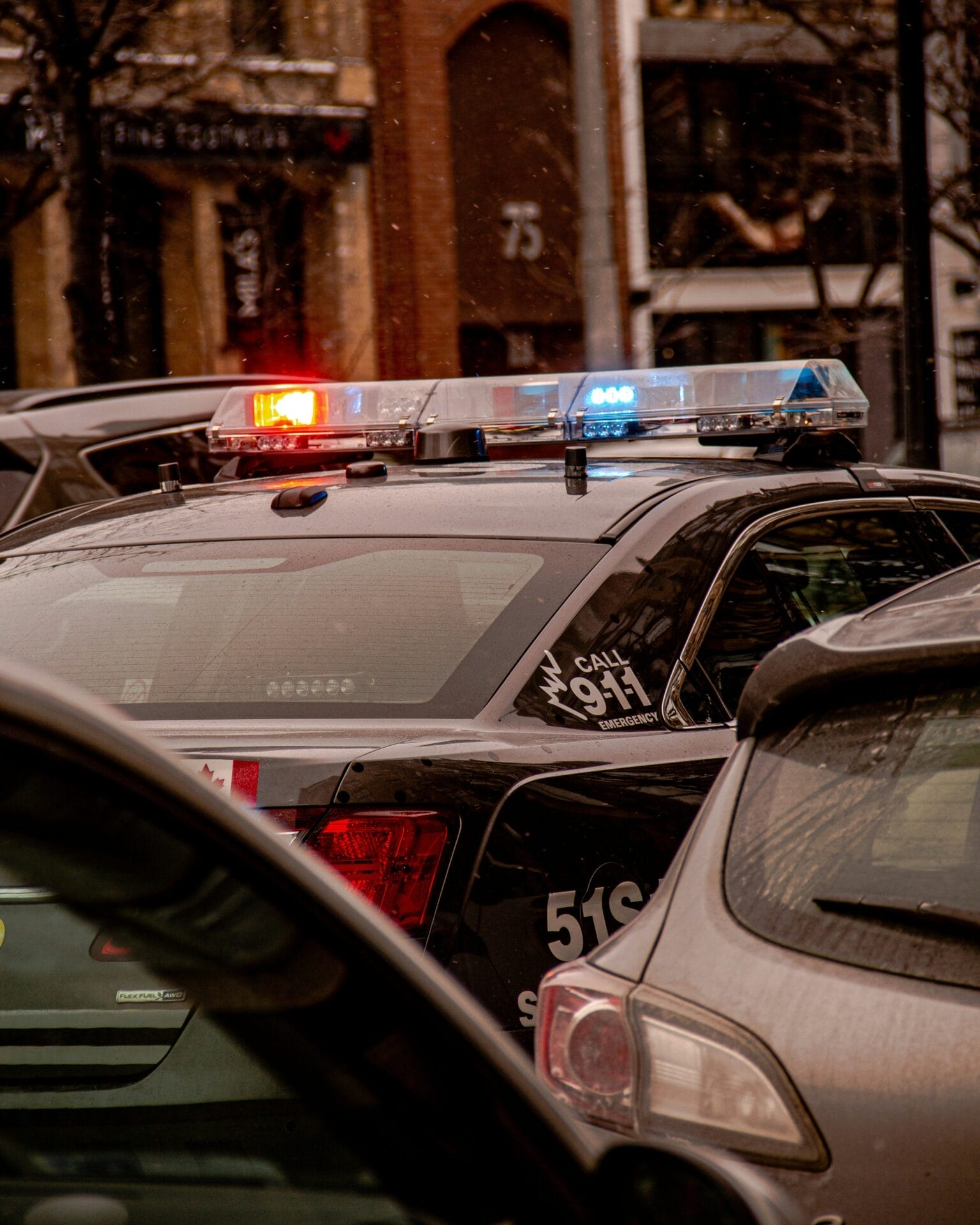 Organized Theft Ring