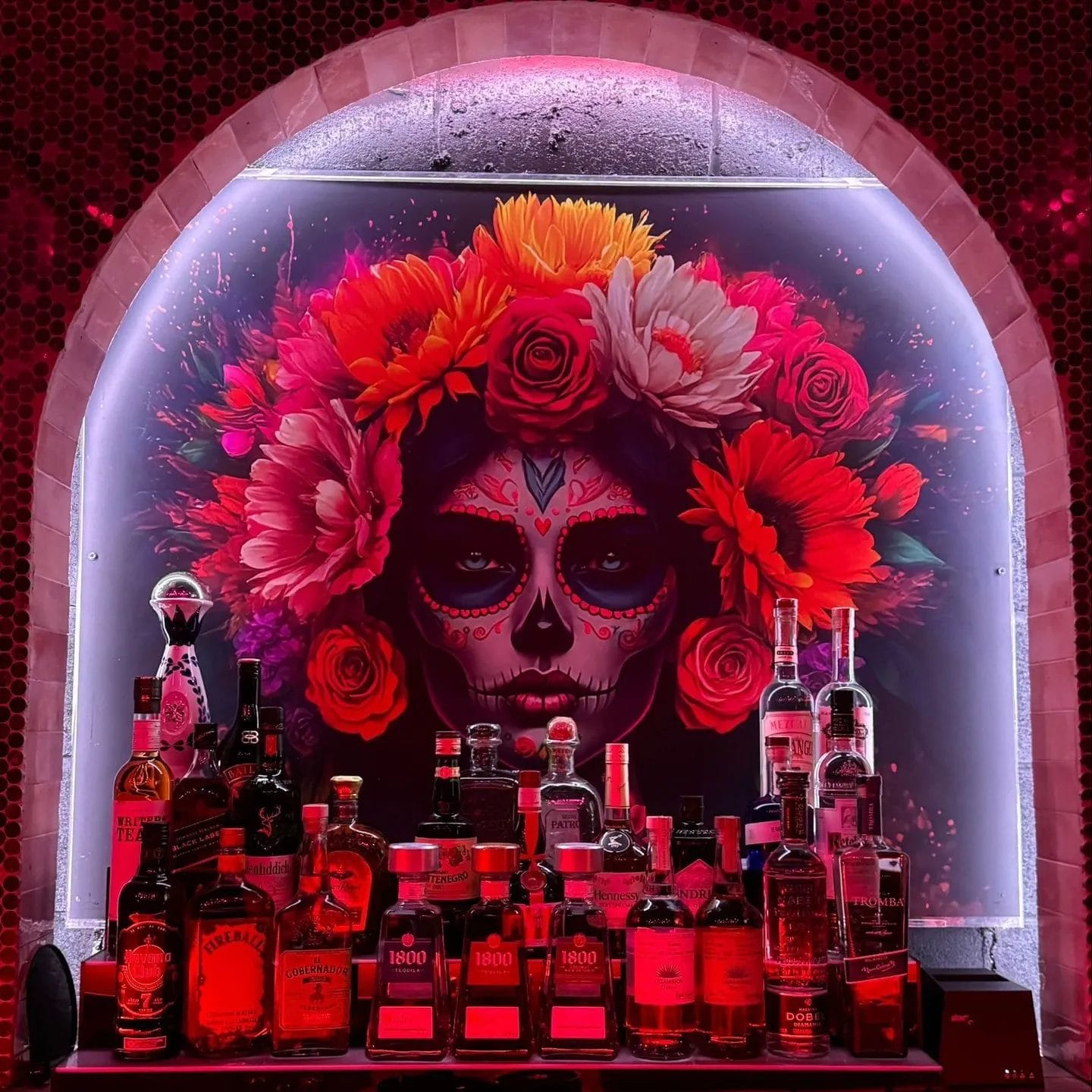 Cinco de Mayo Events in Toronto