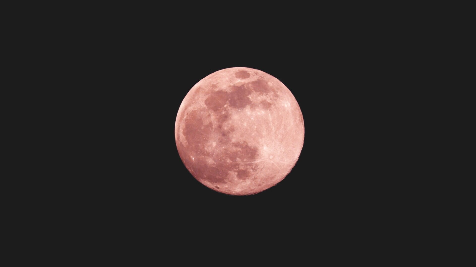 Pink Moon