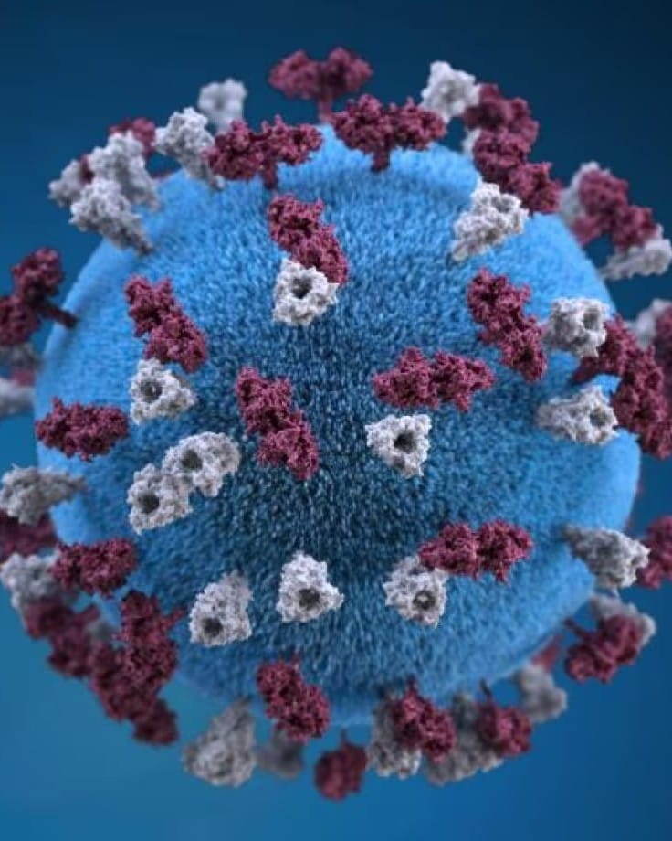 Ontario Measles Outbreak Triggers New York Travel Advisory