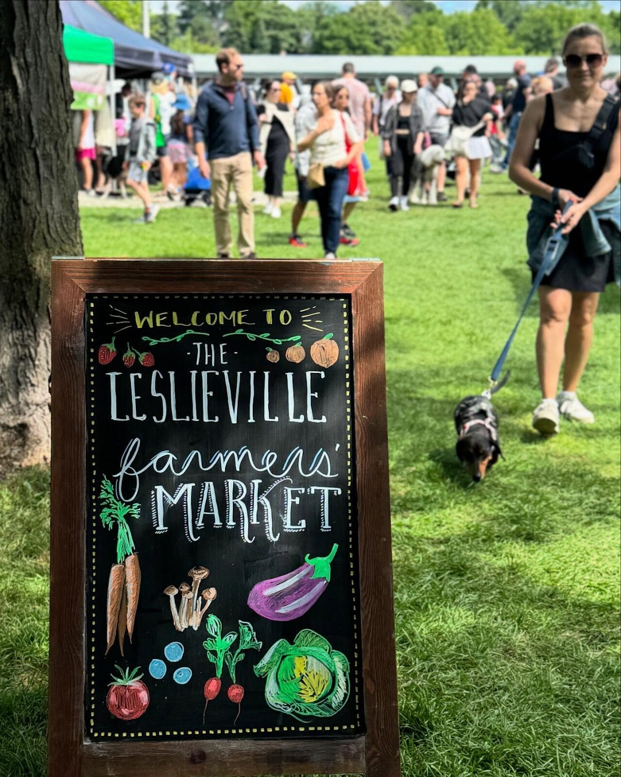Best Summer Markets in Toronto