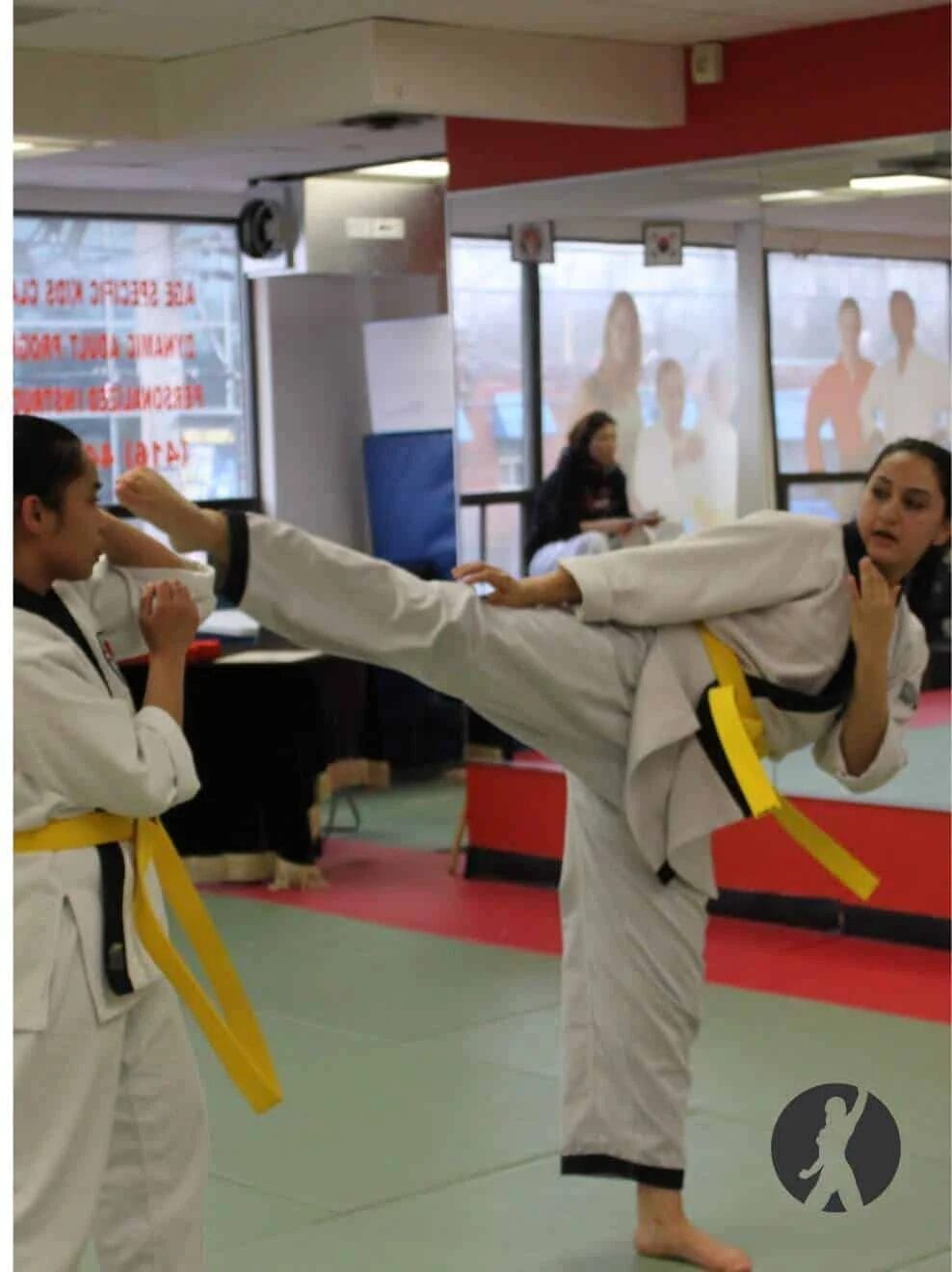Adult Hapkido Classes