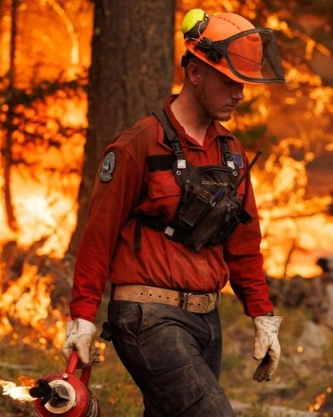 Evacuation Ordered as Kiskatinaw River Wildfire Spreads in Northeastern B.C.