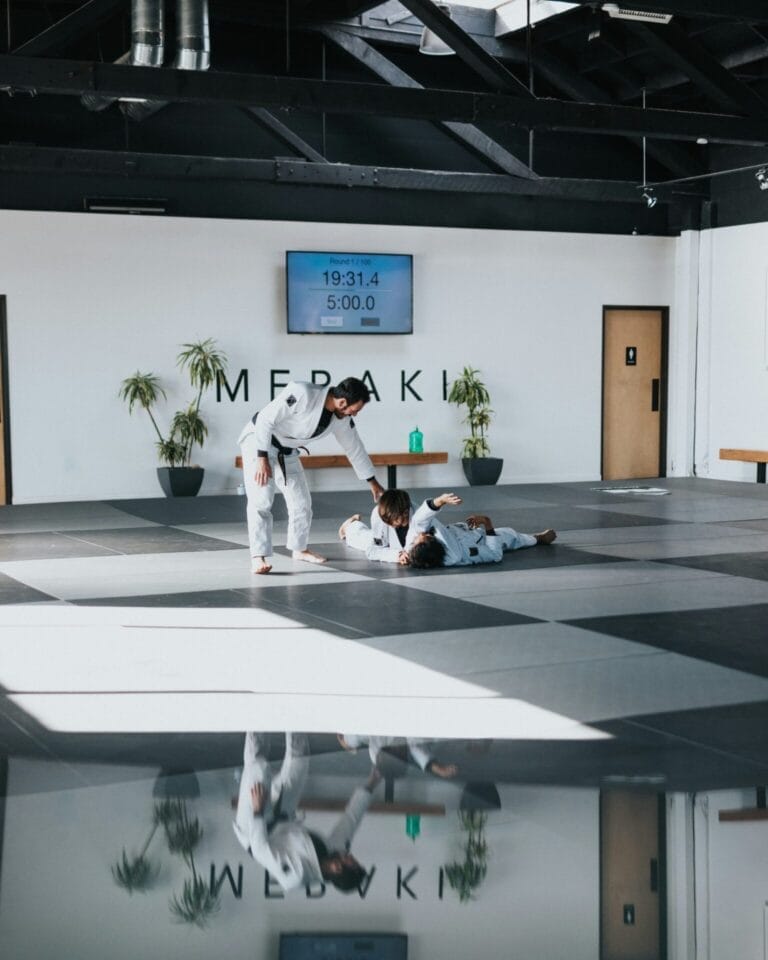 martial arts kids