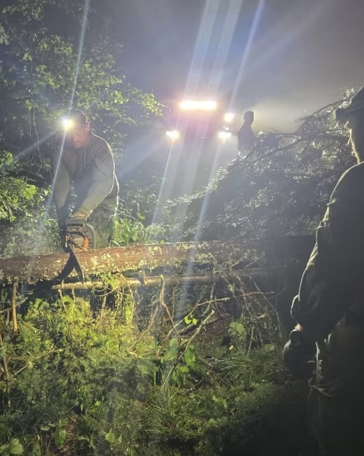 2 Campers Rescued from Algonquin Park After Storm and Tree Fall