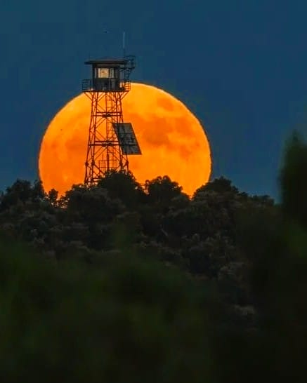 Strawberry Moon 2025: Canada Set to Witness the Lowest Full Moon of the Year on June 10