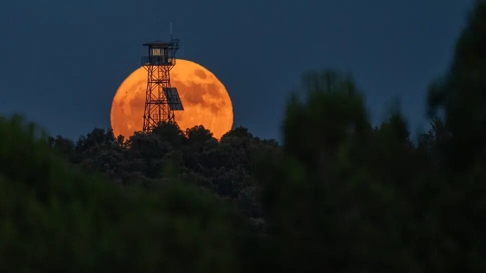Strawberry Moon