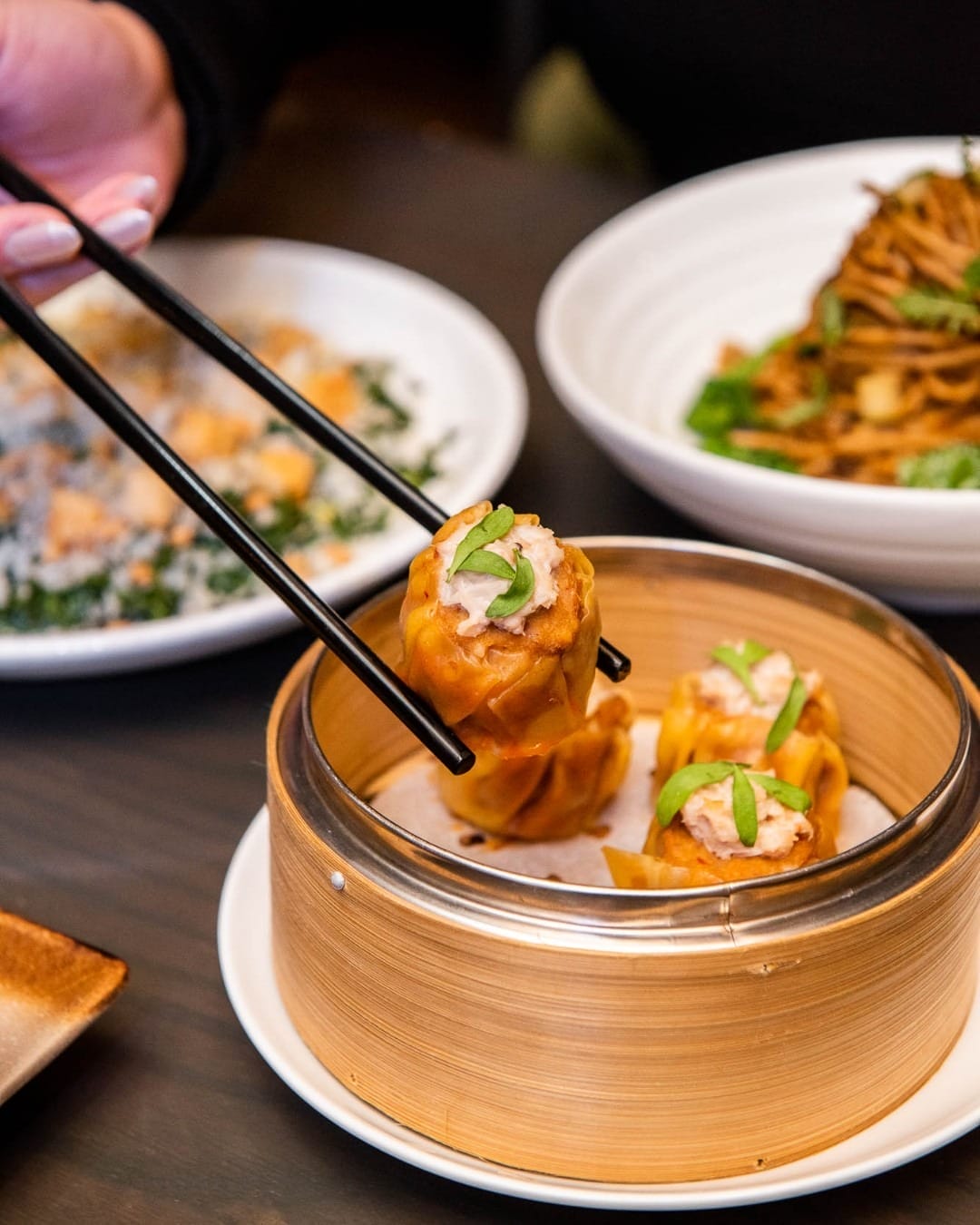 Best Chinese Restaurants in Toronto