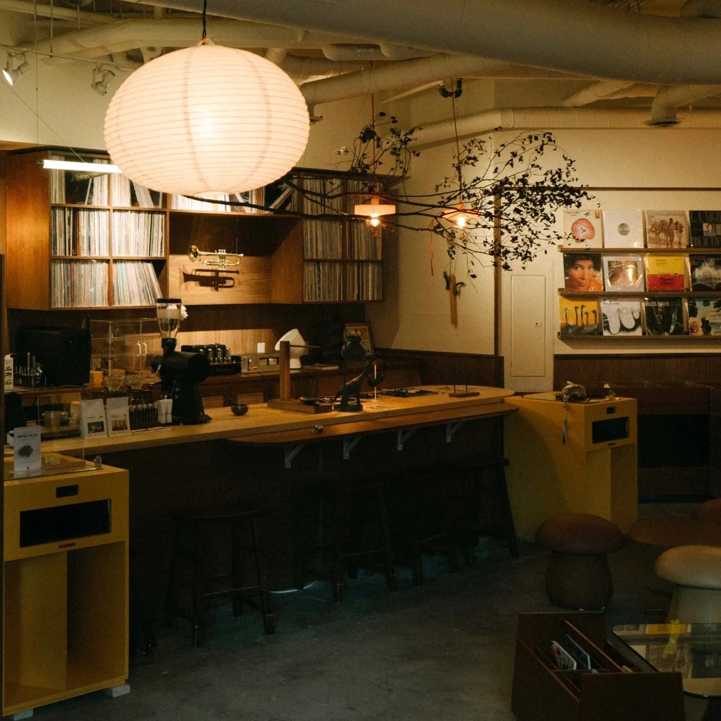 Best Coffee Shops to Work Remotely in Toronto