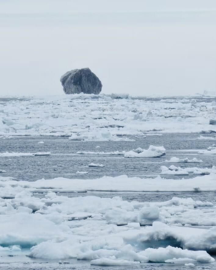 Rare Black Iceberg Spotted Off Labrador Coast Could Be 100,000 Years Old