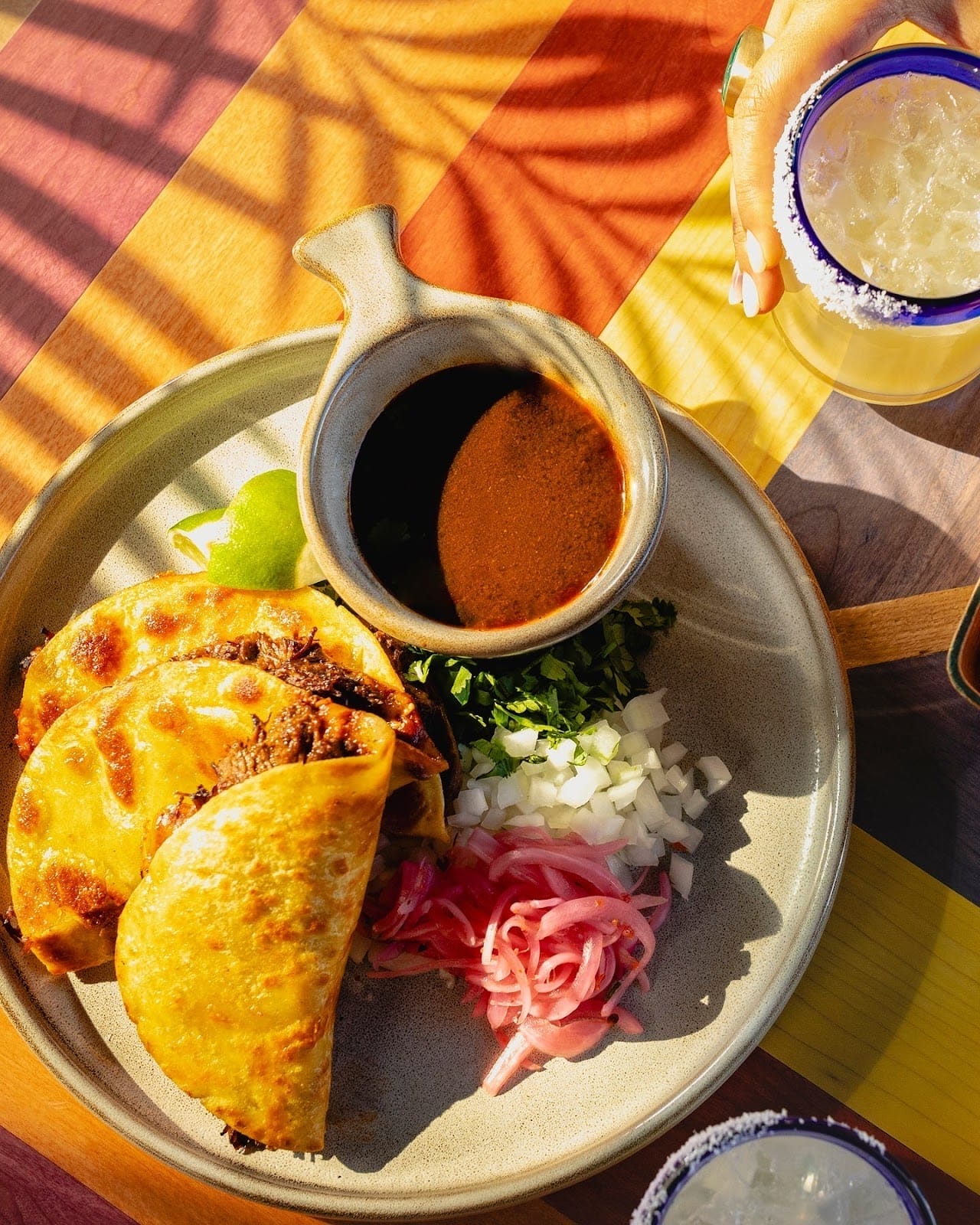 Best Birria Tacos in Toronto