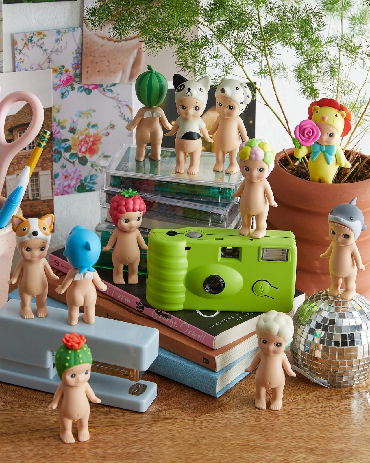 Best Places to Buy Sonny Angels in Toronto